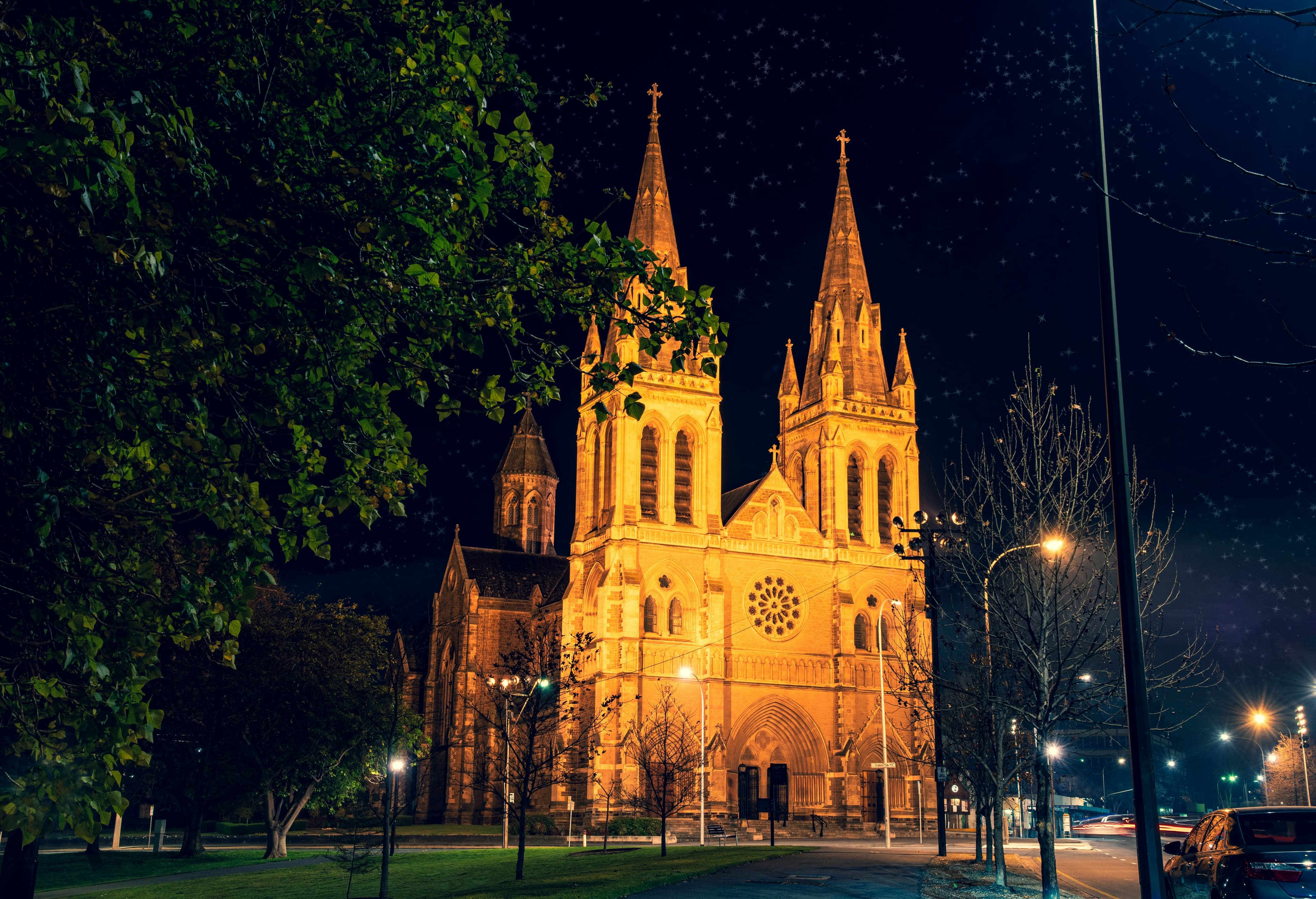 Adelaide & Kangaroo Island: Australia's Wild Heartbeat for Families