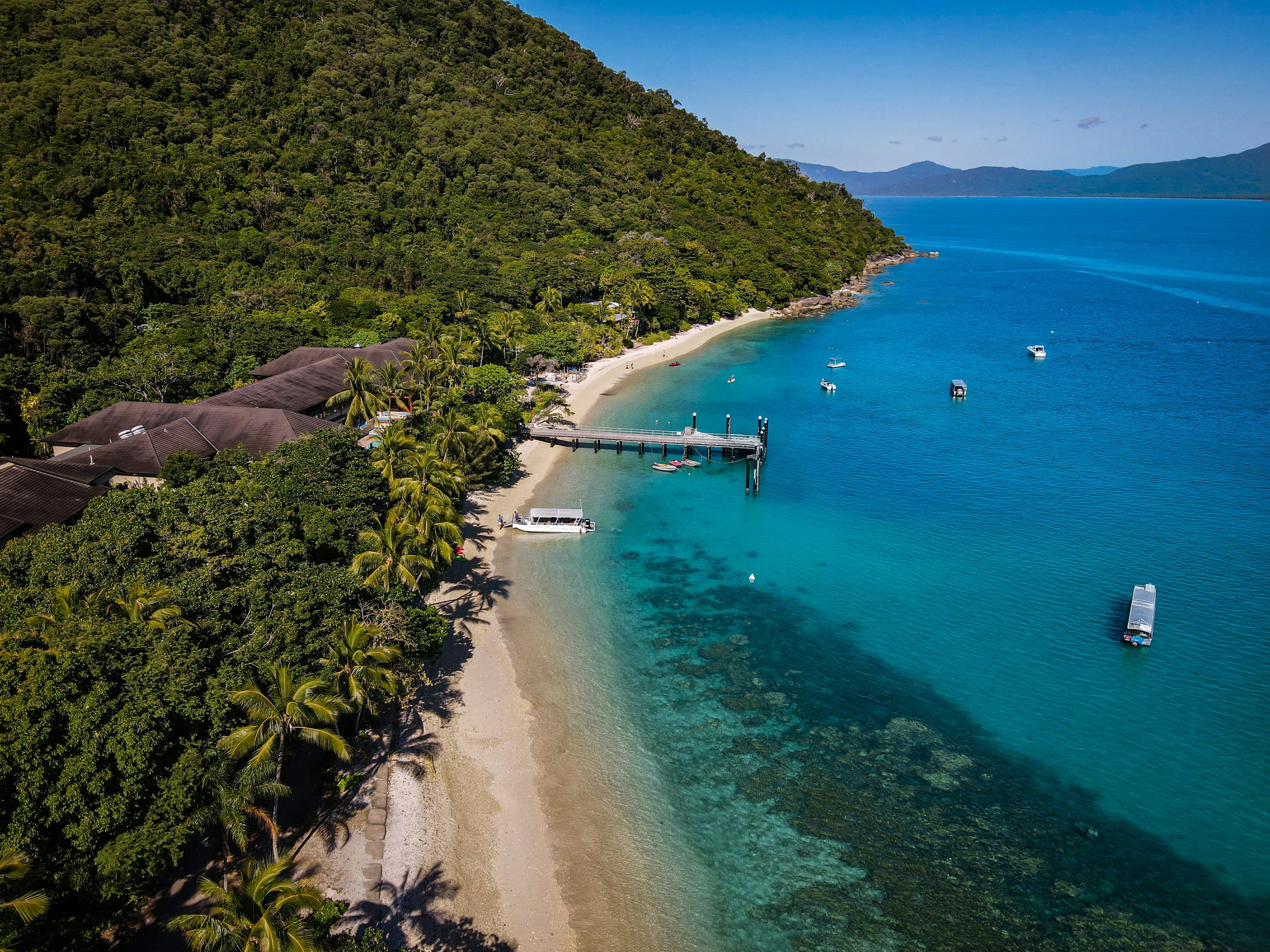 A Tropical Family Odyssey: Reef & Rainforest in Cairns, Australia