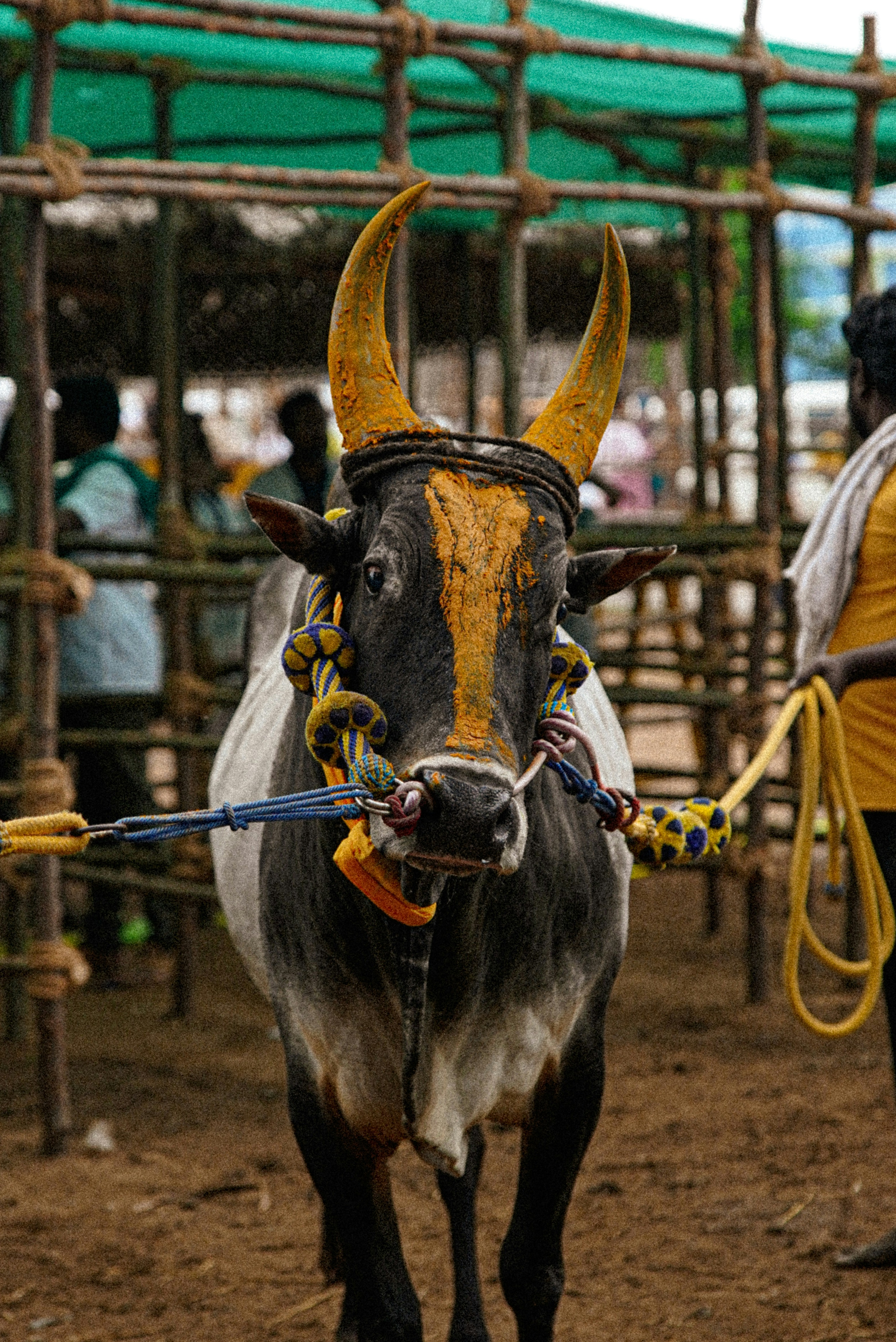Sacred Sites of Tamil Nadu: Madurai, Rameshwaram & Kanyakumari