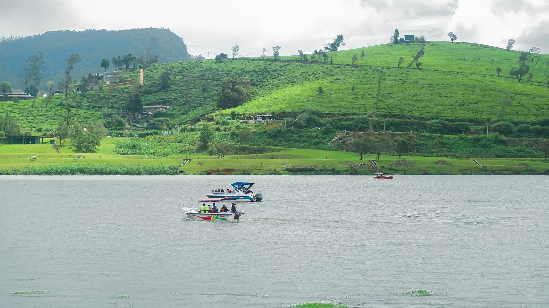 3 Nights in Nuwara Eliya: A Couples' Mountain Escape