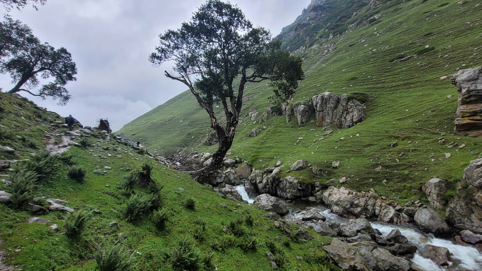 Kashmir's Romantic Embrace: A 4-Night Pahalgam & Gulmarg Sojourn