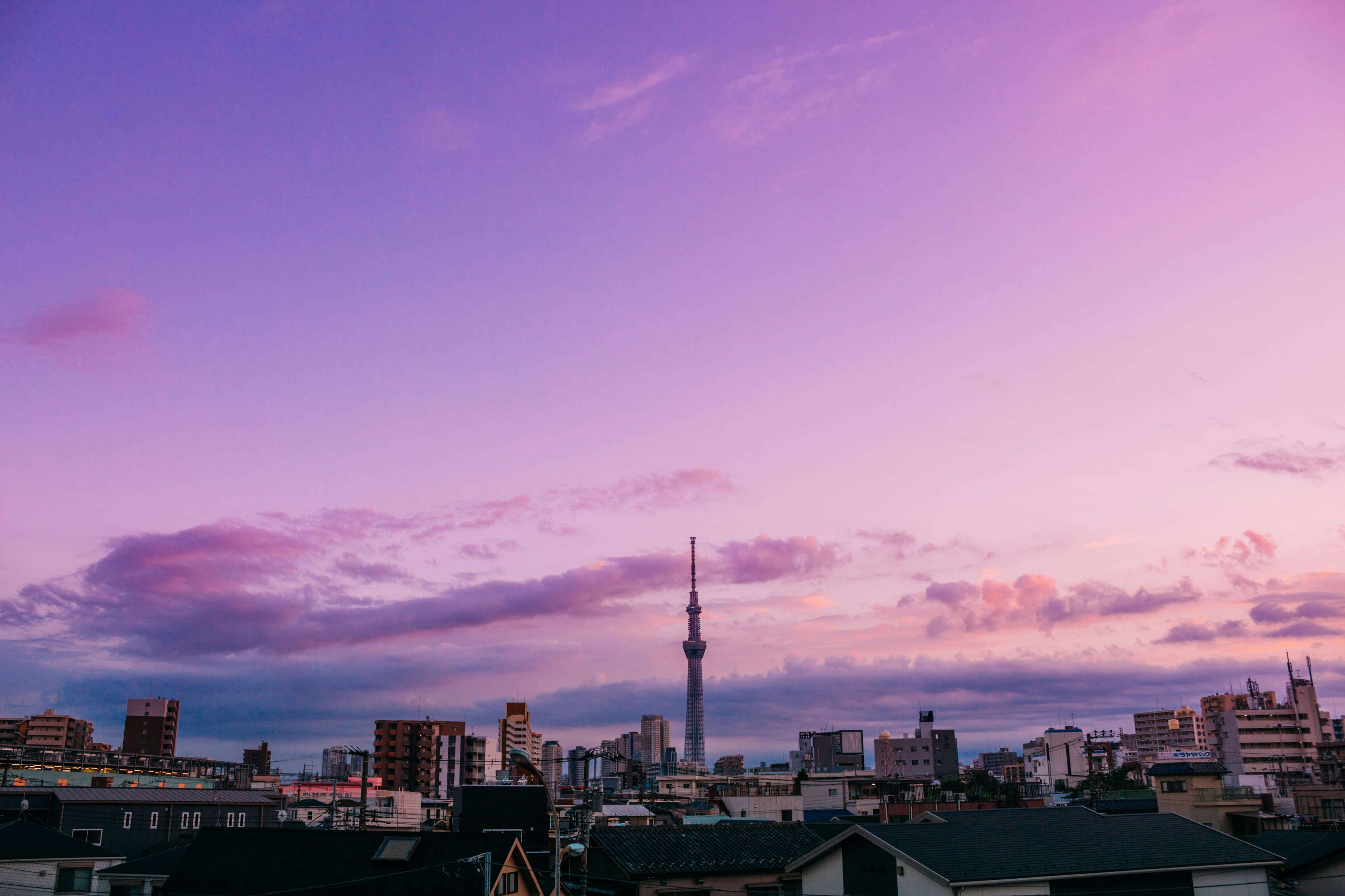 Tokyo Family Odyssey: Cherry Blossoms, Skyscrapers & Sacred Peaks