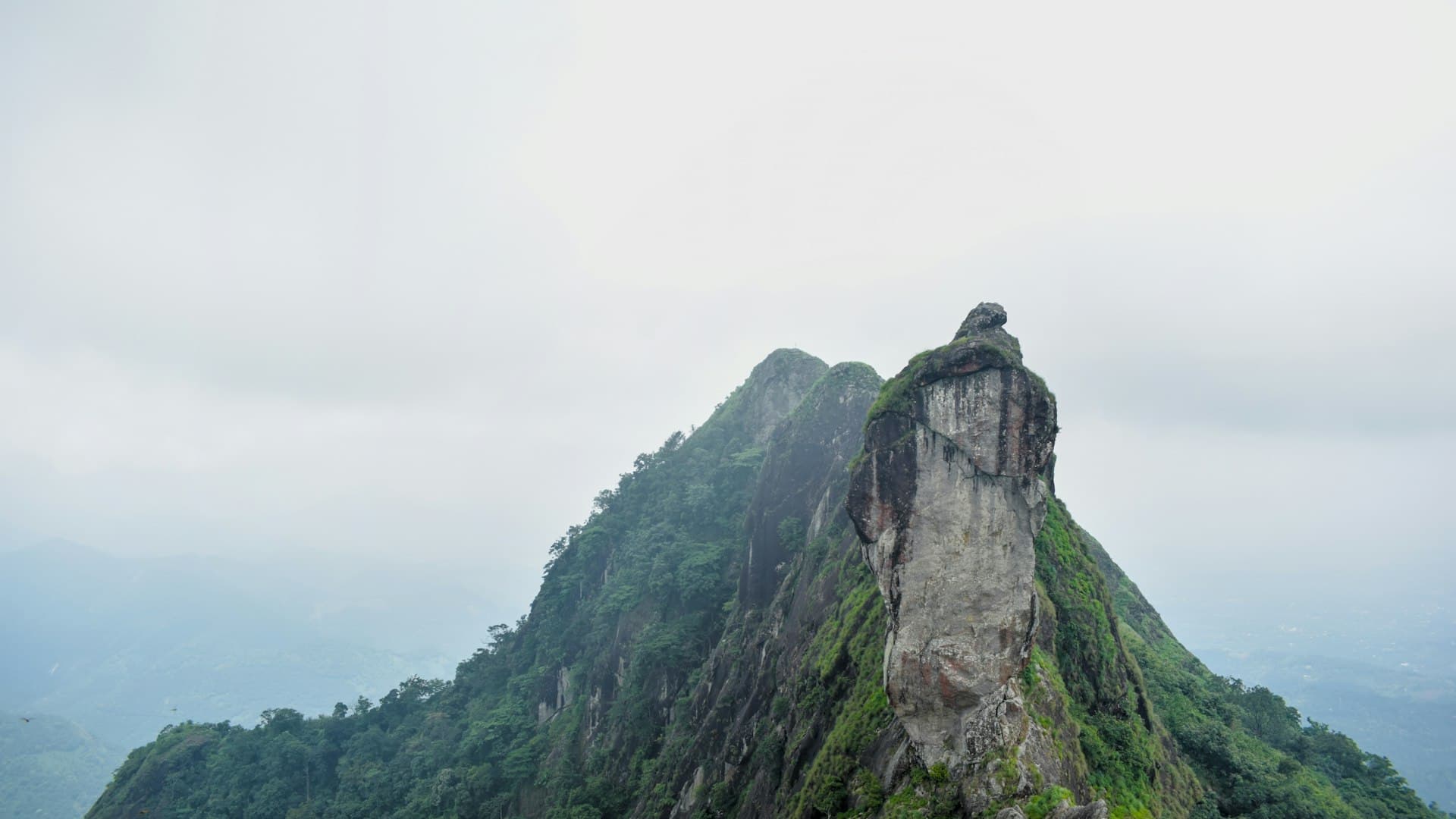 Hong Kong & Macau Couple Escape: 4 Nights