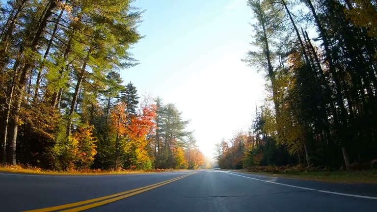 Road Trip