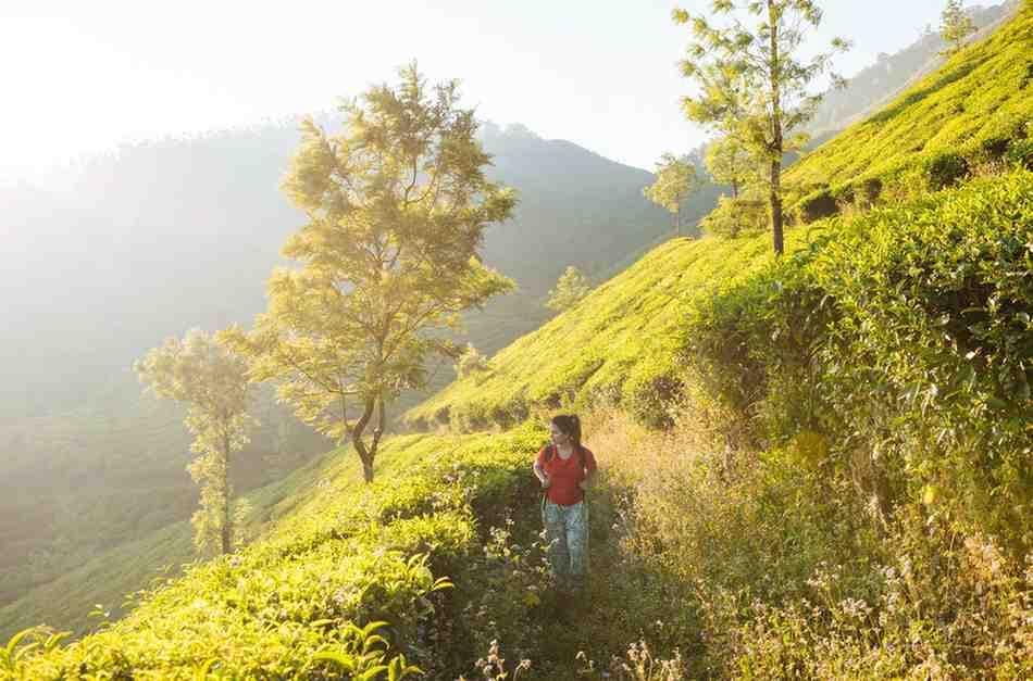 Best Places to Visit in India in Winter